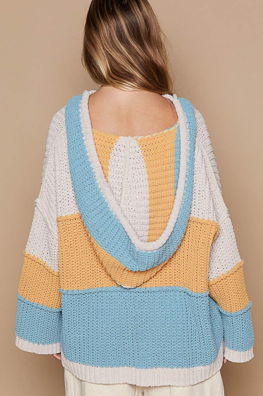 POL – Langärmliger Kapuzenpullover mit Farbblockdesign